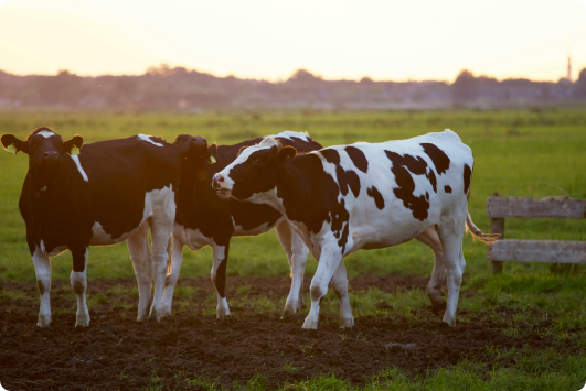 Farming News